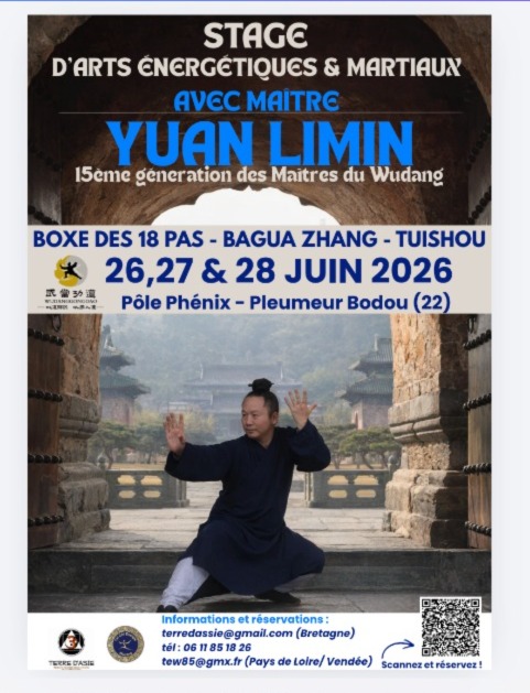 stage-arts-energetiques-wudang-bretagne-yuan-limin